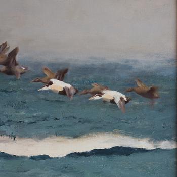 Bruno Liljefors, Stretching Sea Birds.