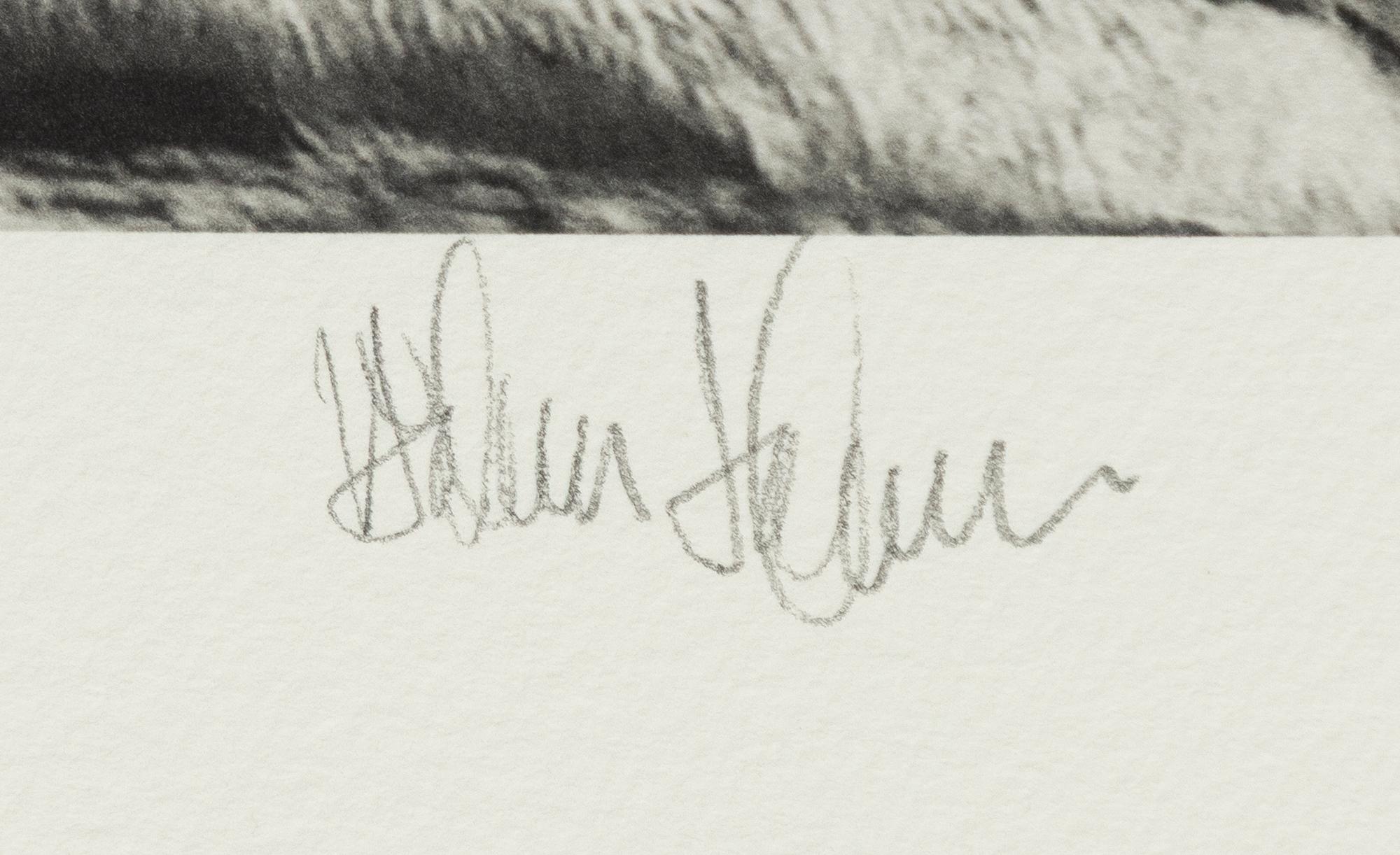 Håkan Ludwigson, 'Londolozi', 2008.