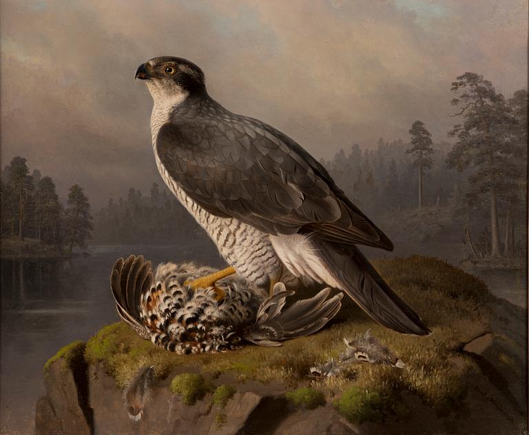 FERDINAND VON WRIGHT, A HAWK WITH ITS PREY.