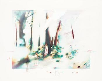 221. Richard Hamilton, "Soft Pink Landscape".