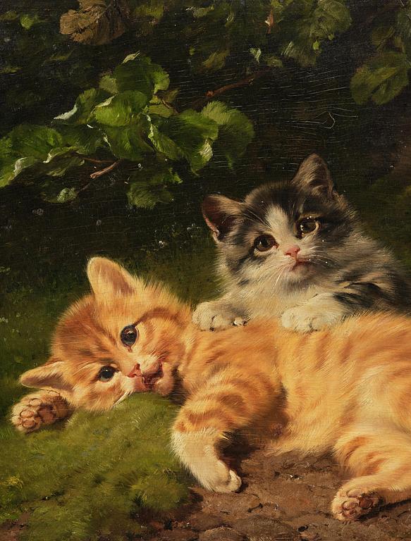 Julius II Adam, Kittens.