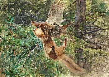 44. Bruno Liljefors, "Barrskog med skogsmård anfallande en orrhöna" (Forest scene with pine marten attacking a Black Grouse Hen).