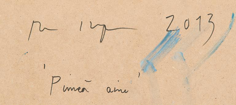 Anu Haapanen, "Pimeä aine".