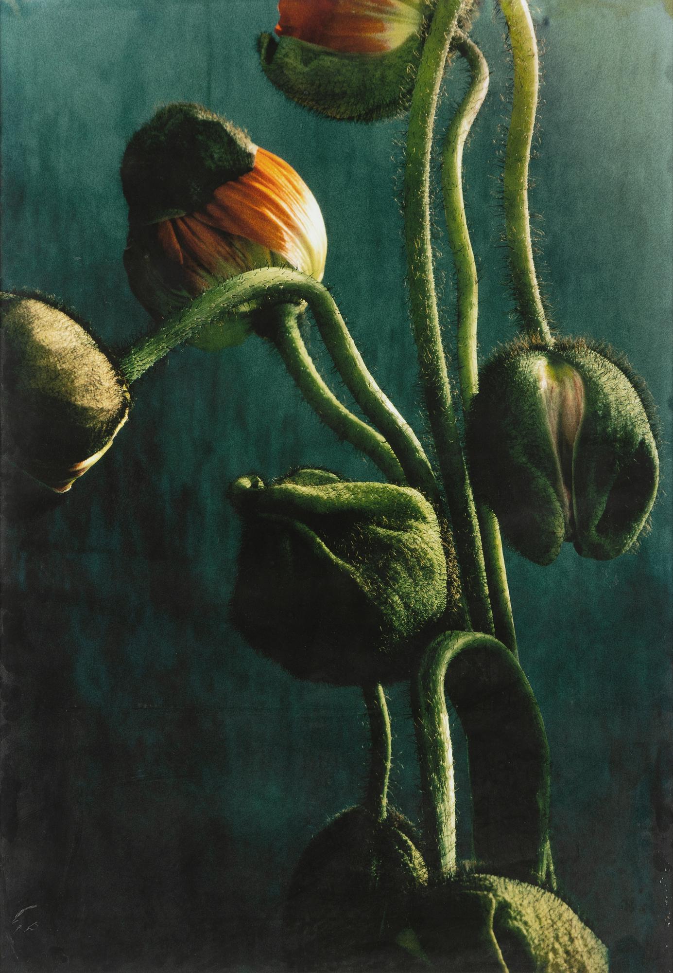 Ewa-Marie Rundquist, "61".