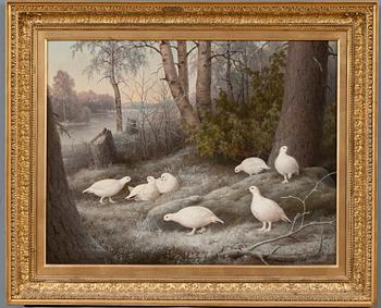 Ferdinand von Wright, "EN FLOCK RIPOR VID FLODEN".