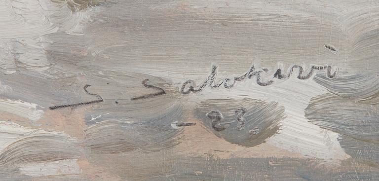 Santeri Salokivi, Hamnvy.