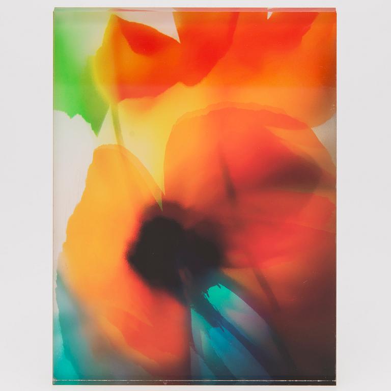 MARJA PIRILÄ, pigment print, acrylic.