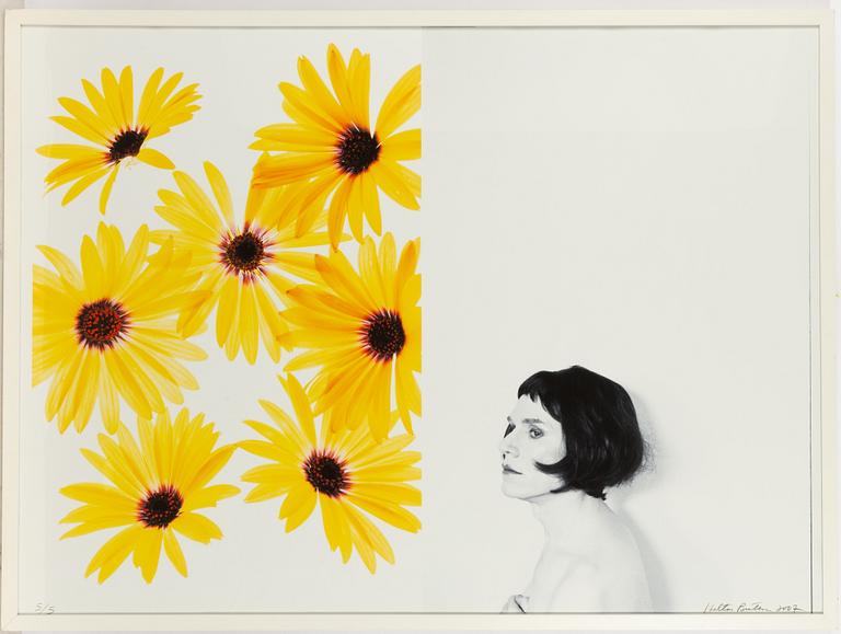 The Hilton Brothers, "Andydandy".