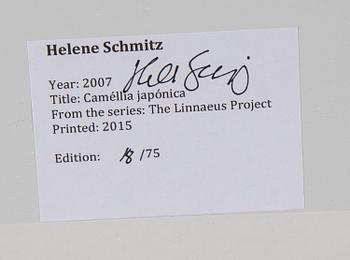 Helene Schmitz, fotografi, 2007, signerat 18/75 a tergo.