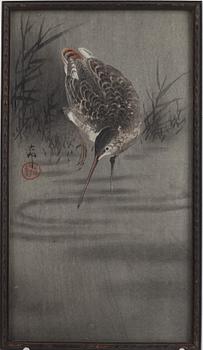 Ohara Koson, "Beckasin i vattenbryn".