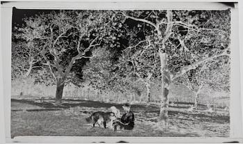 FOTONEGATIV, 8 st, Danmark, troligen 1920-30-tal.