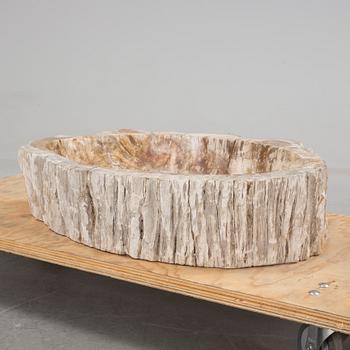 HANDFAT, fossil av förstenat trä.