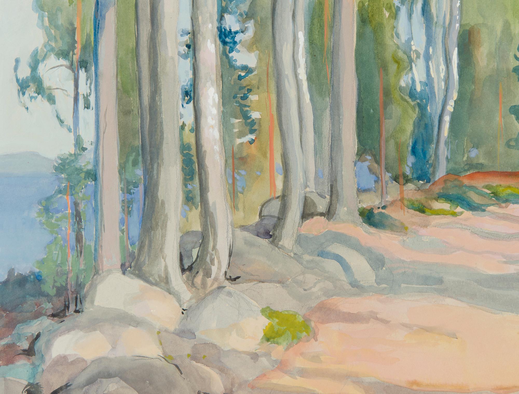 Eero Järnefelt, Näkymä Punkaharjulta.