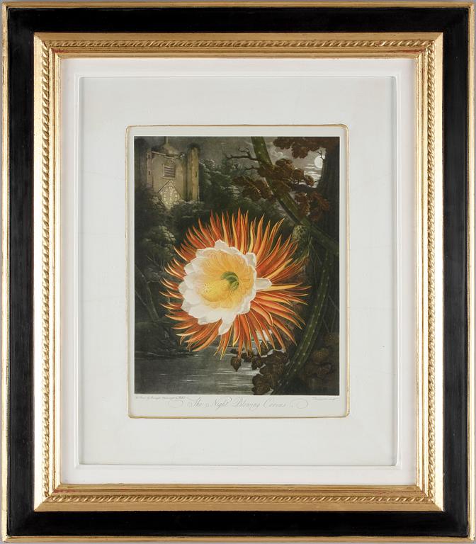 LITOGRAFISKT TRYCK. Ett par, bl a Richard Earlom, 1900-tal.