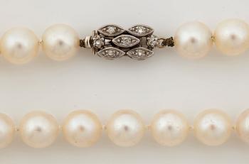 A cultured pearl necklace.