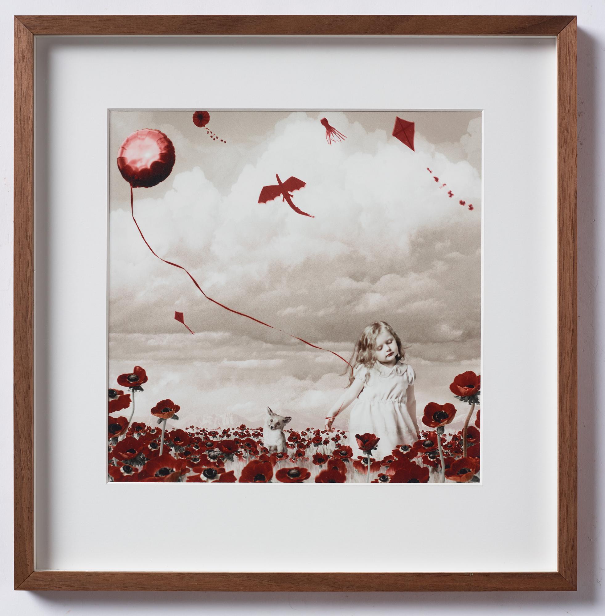 Helena Blomqvist, "Field of Red Anemones", 2012.