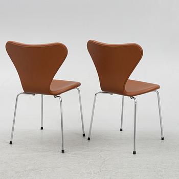 Arne Jacobsen, six "Series 7" chairs for Fritz Hansen, Denmark.