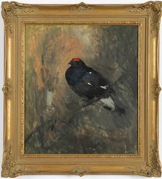 Mosse Stoopendaal, The translation of "Orre" to English is "Grouse.".