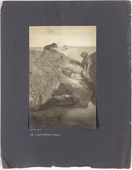 HENRY B. GOODWIN, gelatin silver print depicting the artist's dogs at the beach.