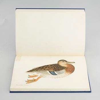 OLOF RUDBECK DY, 'FOGELBOKEN* ('The bird book'), Rene Coeckelberghs publishing, Stockholm 1985, numbered 834/1499.