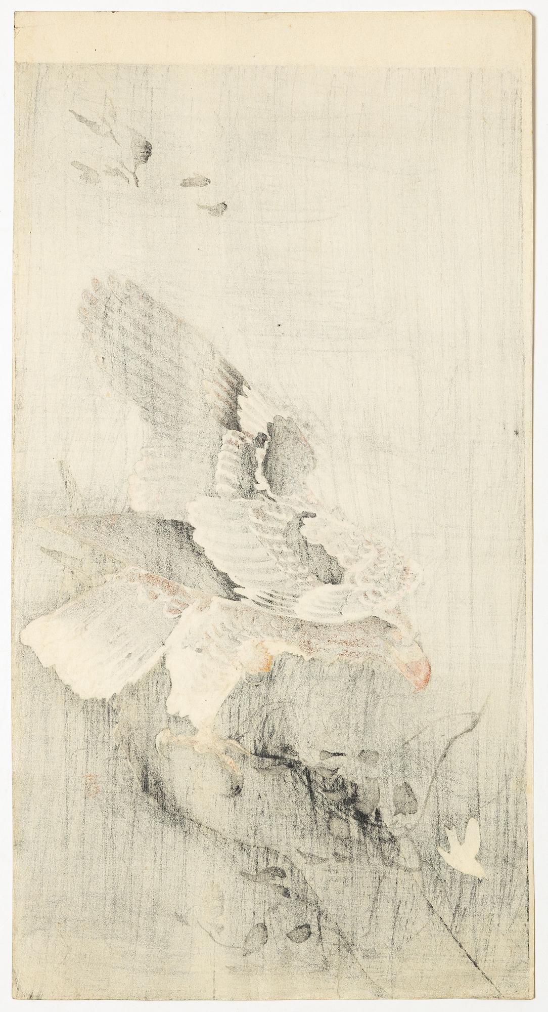 Ohara Koson, efter, "Eagle with outspread wings", 1900-talets andra del.