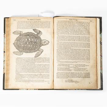 With woodcut illustrations of snakes, crocodiles, dragons, frogs, tortoises etc.