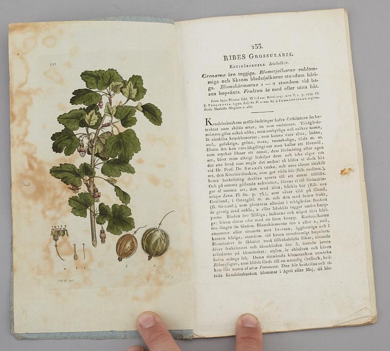 JOHAN WILHELM PALMSTRUCH, "Svensk Botanik, vol I-V. 1803-1805.