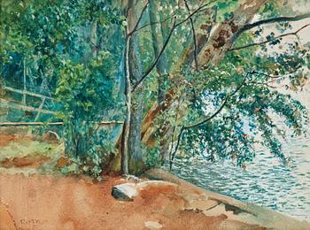 887. Carl Hedelin, Trees by the water.