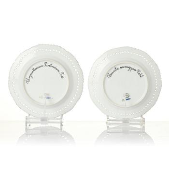 A set of 12 Royal Copenhagen 'Flora Danica' lunch plates, Denmark, 1889-1922.