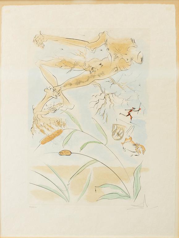 Salvador Dalí, "Le Chêne et le roseau".