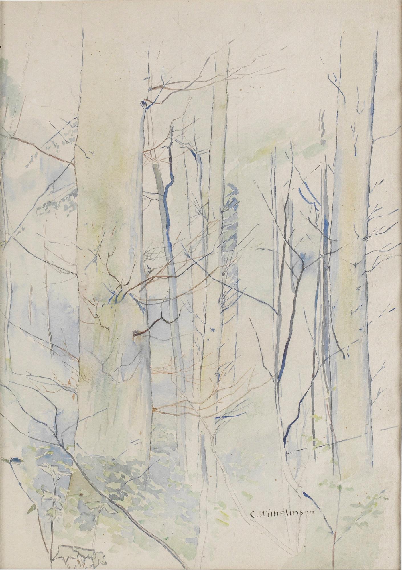 Carl Wilhelmson, Studie av träd. (A tergo molnstudier).
