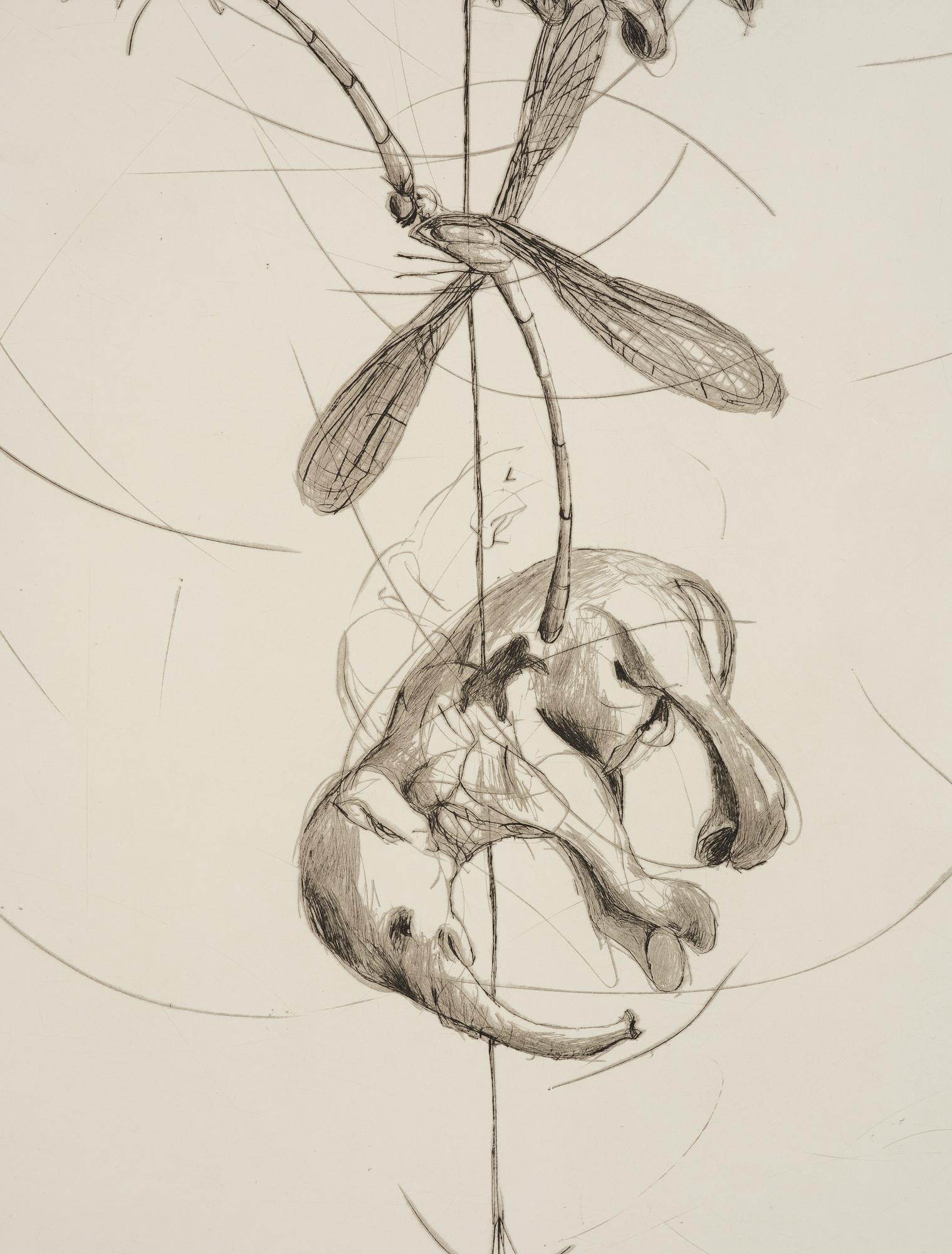 Linn Fernström, Girl in a bird's nest.