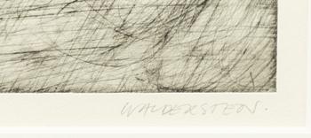 Jesper Waldersten, "Fjalar".
