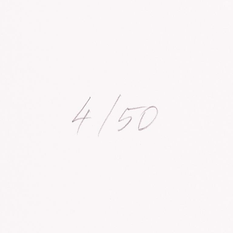 Raul Meel, "Windows and Landscape 5".