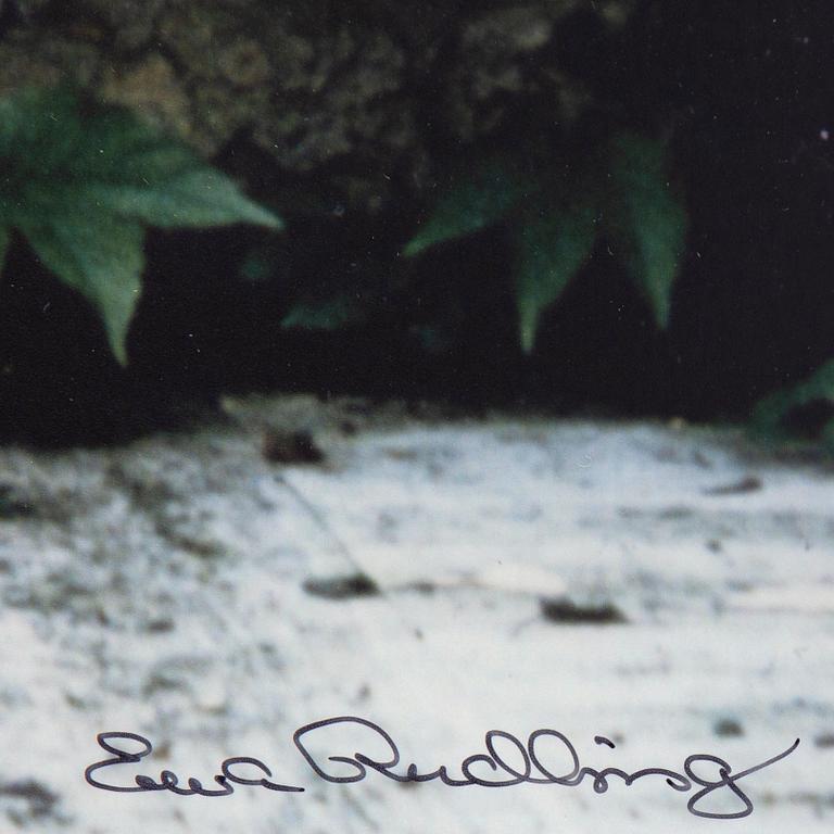Ewa Rudling, photograph signed and numbered 14/30.