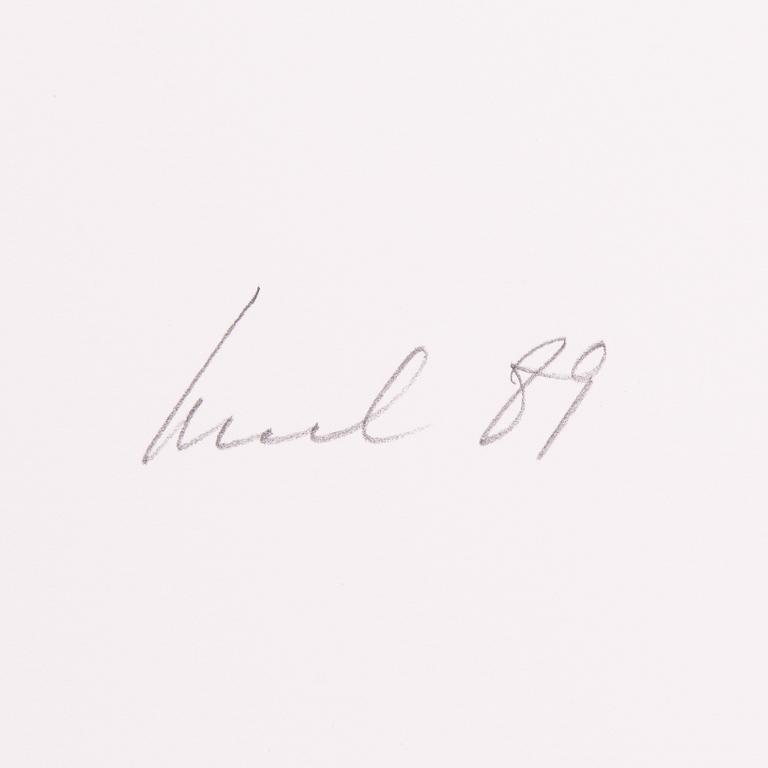 Raul Meel, "Windows and Landscape 2".