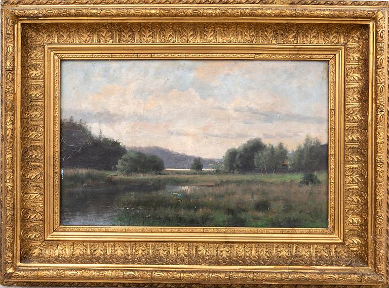 Julia Strömberg, "Motive of a bog".