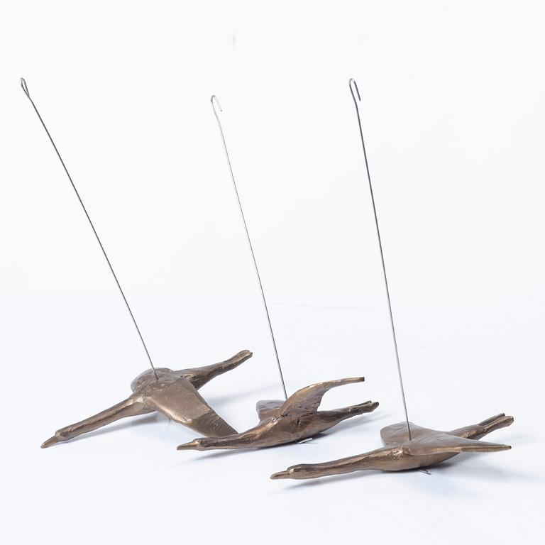 Torsten Renqvist, Fåglar.