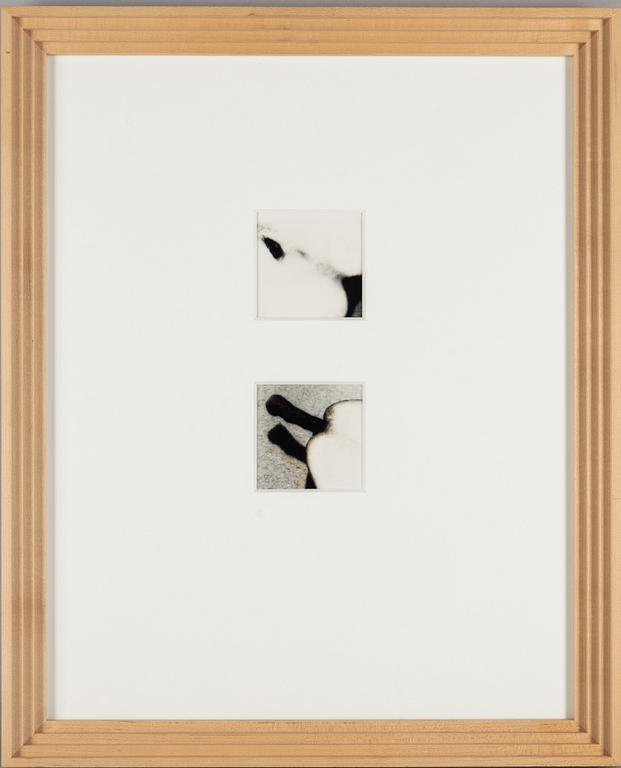 Martina Leo, Diptych from the series "Lustsvit", 1999.