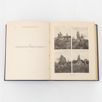 Yngve Sjöstedt, Zoologische Kilimandjaro-Meru Expedition 1905-1906, 3 volumes, P.Palmqvists Aktiebolag Stockholm, 1910.
