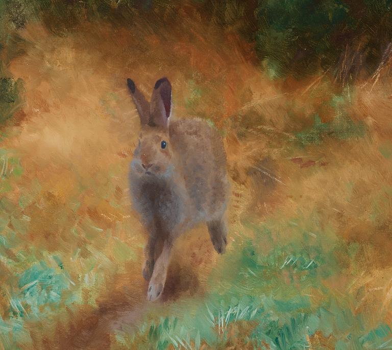 Bruno Liljefors, Hare i höstlandskap.