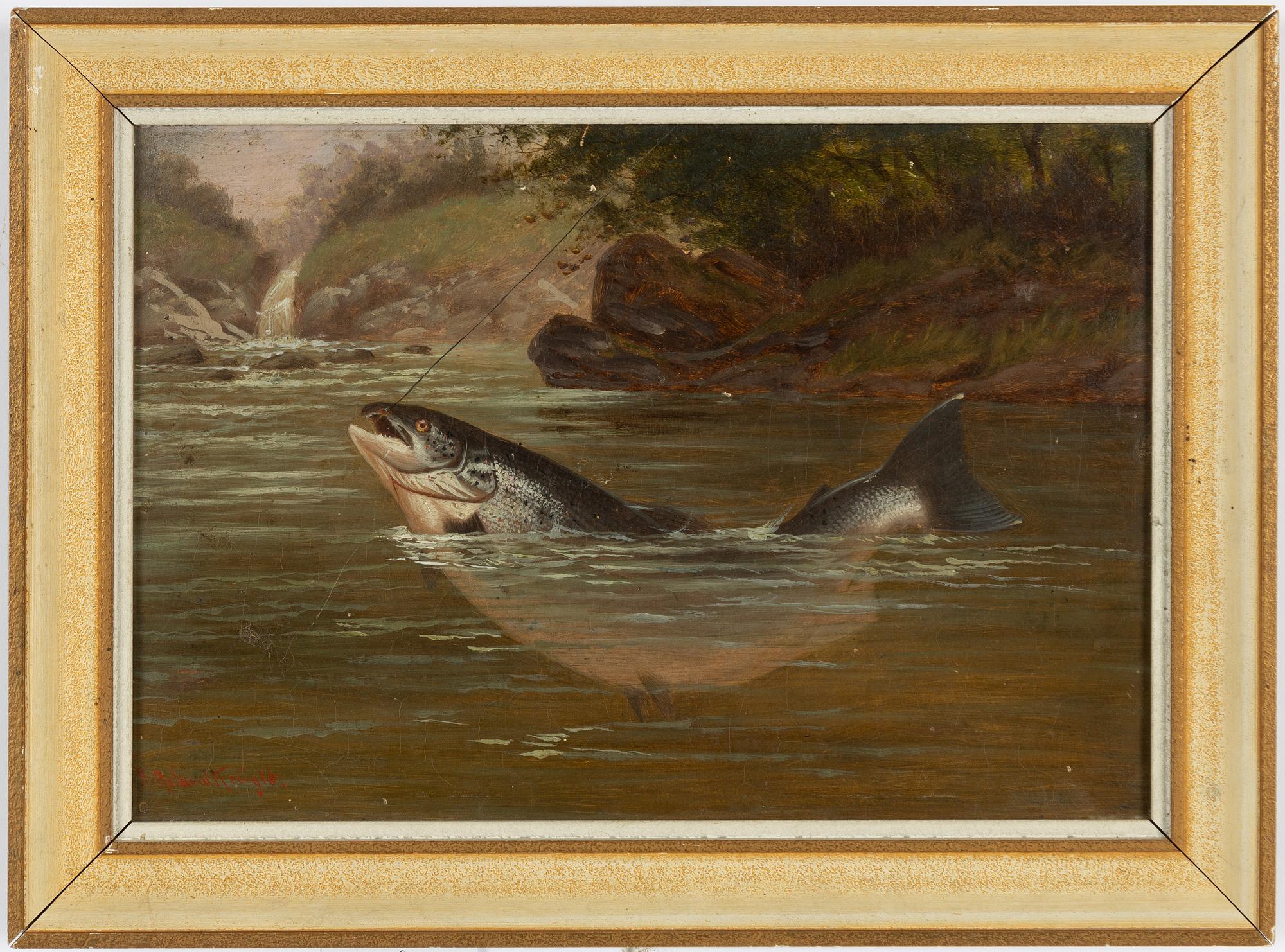 Arthur Roland Knight, Laxfiske.