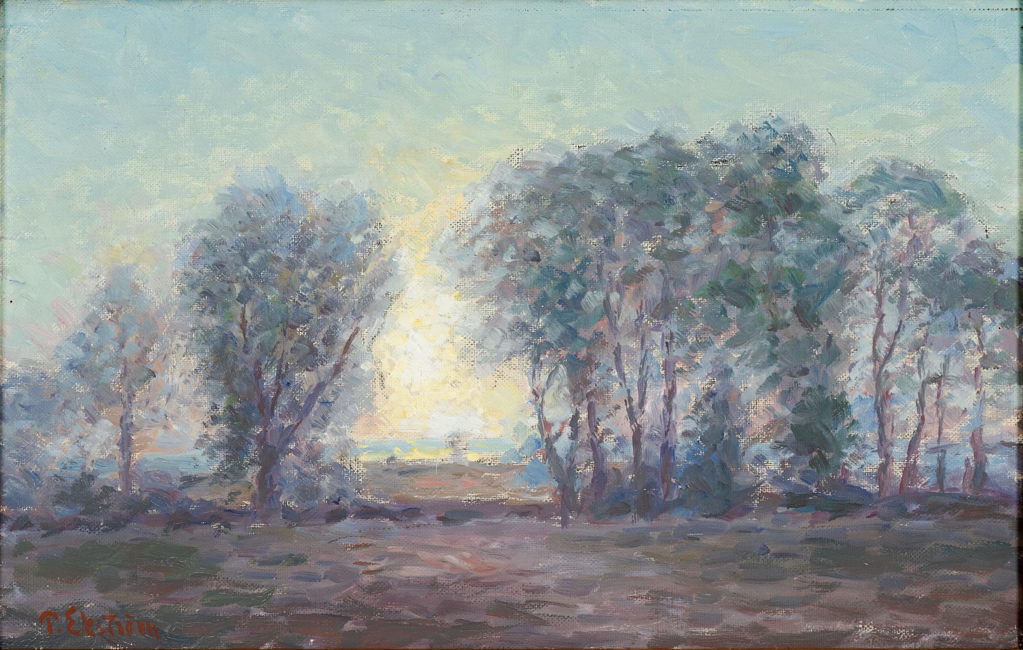 Per Ekström, Solglitter.