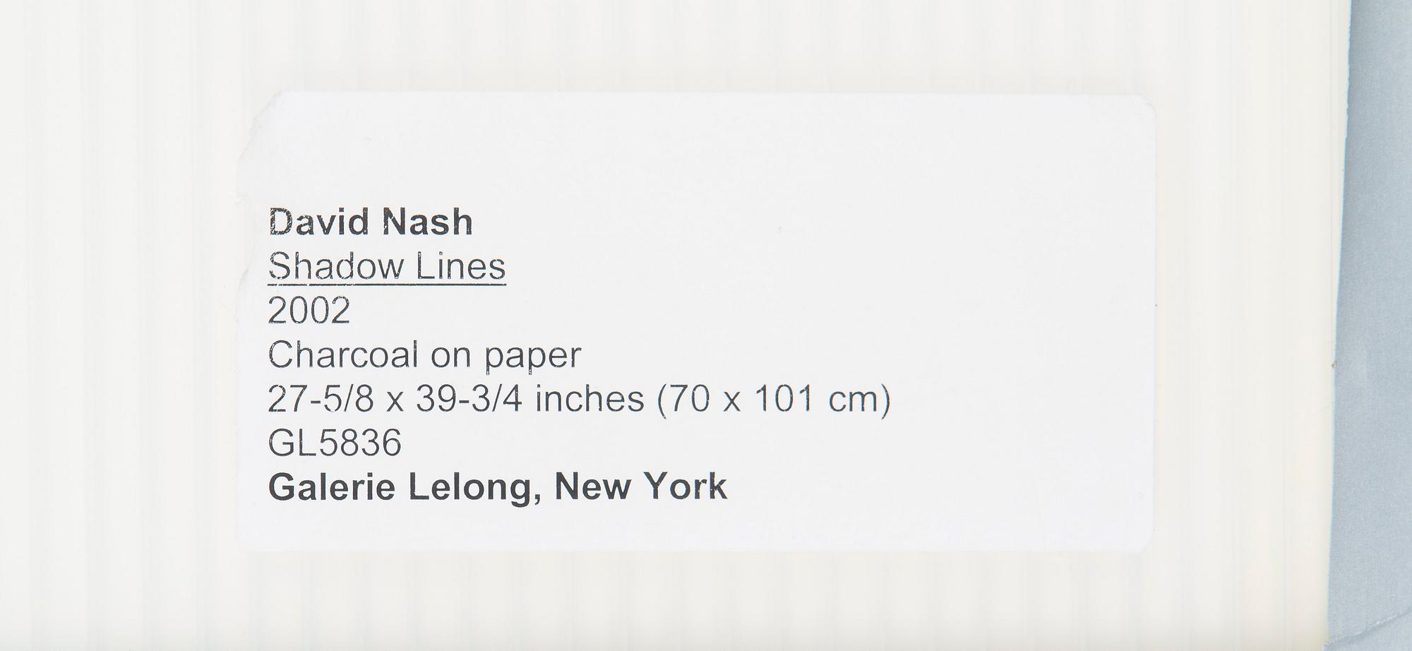 David Nash, "Shadow lines".