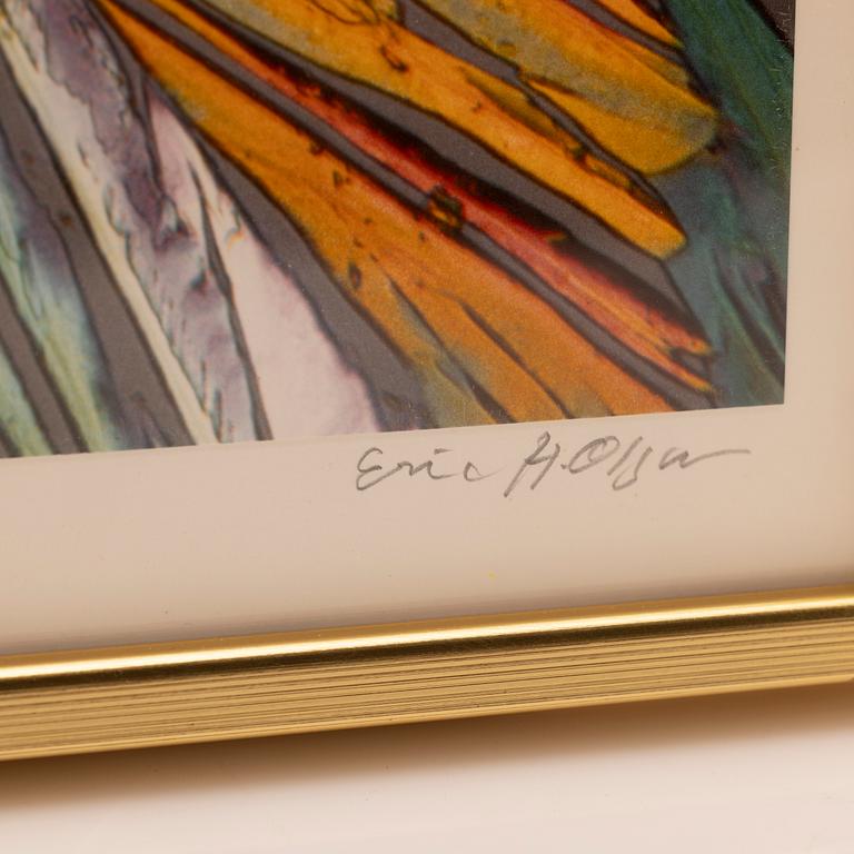 Eric H Olson, Utan titel.