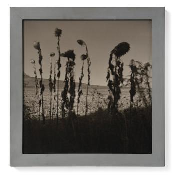 211. Gerry Johansson, "Sommerset. Pennsylvania", 1994.