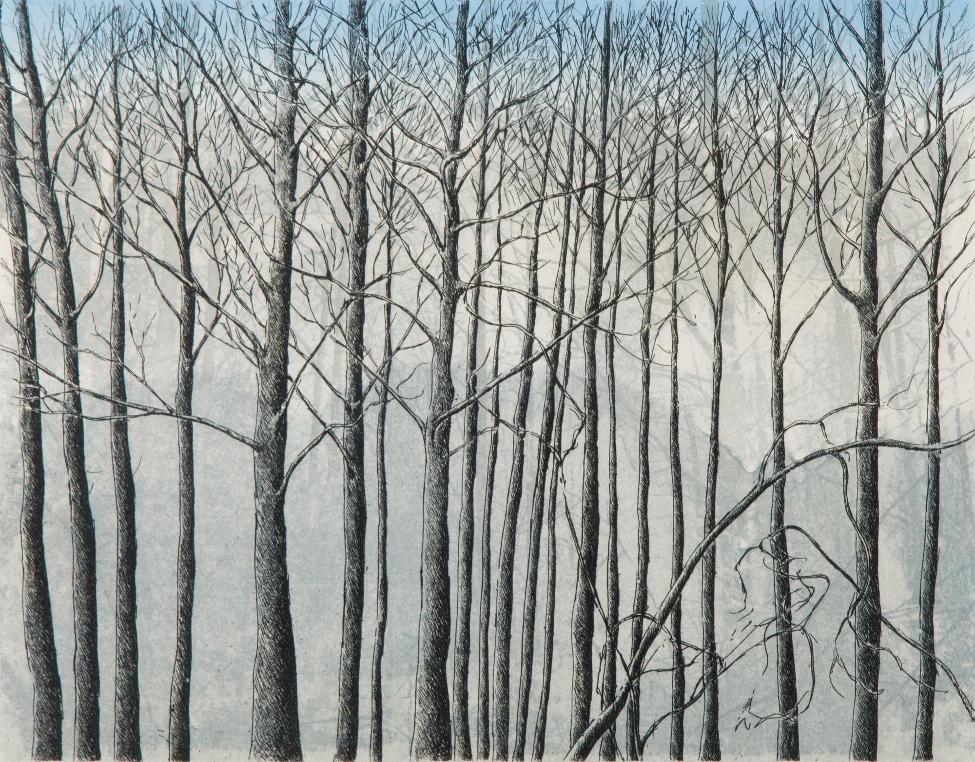 INARI KROHN, etching, signed and dated 2000, numbered Tait. vedos 4/10.