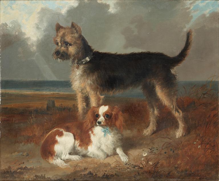 Richard Ansdell Hans art, Två små hundar.