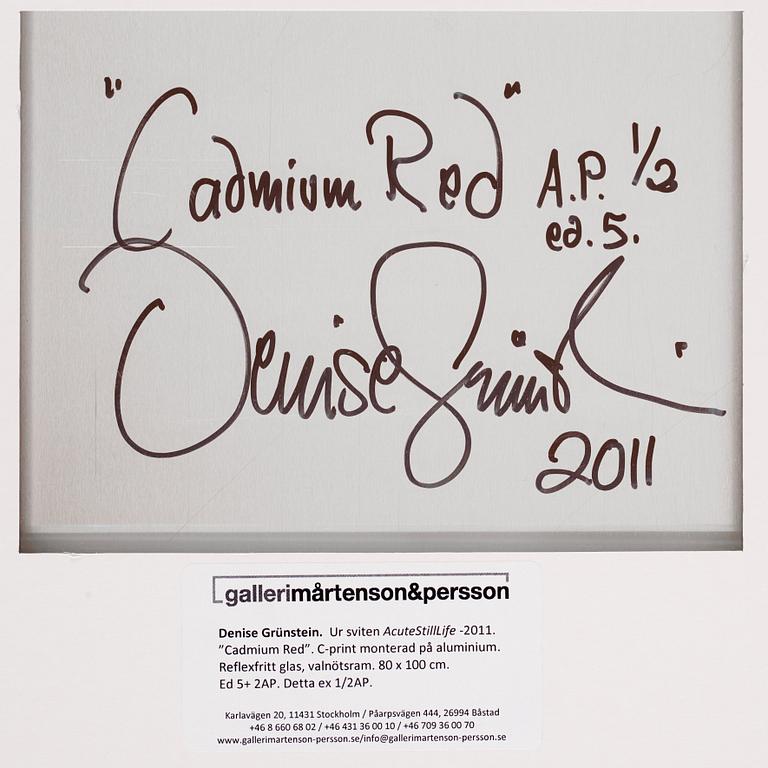 Denise Grünstein, "Cadmium Red", 2011.