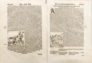 EXTRACT FROM MÜNSTER. MÜNSTER, SEBASTIAN. 36 pages from Cosmographia, Basel 1569.